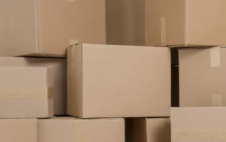 Jakie koszty wiążą się ze zmianą plastiku na opakowania kartonowe w firmach?